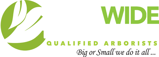 Statewide Tree Service