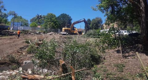 land clearing Penrith by Statewide Tree Service