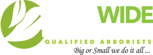 tree service Sydney for Statewide Tree Service LOGO